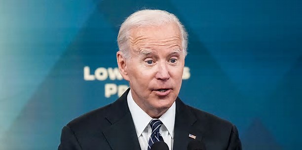 Biden admin issues 20-year mining ban as it turns to foreign supply chain amid green energy push