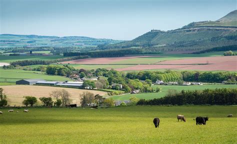 The SEC moves to regulate the future of farming